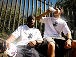 CREST TEE